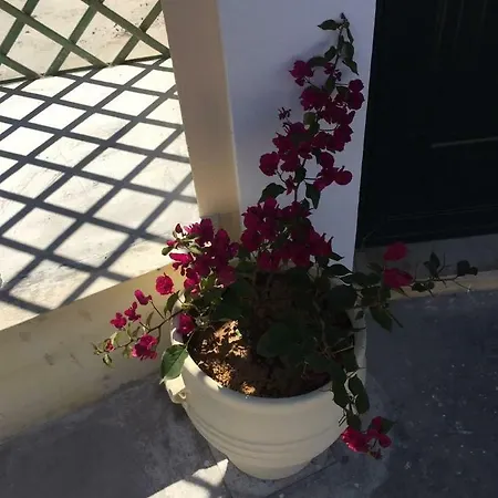 Apartment Memories Benitses Corfu *